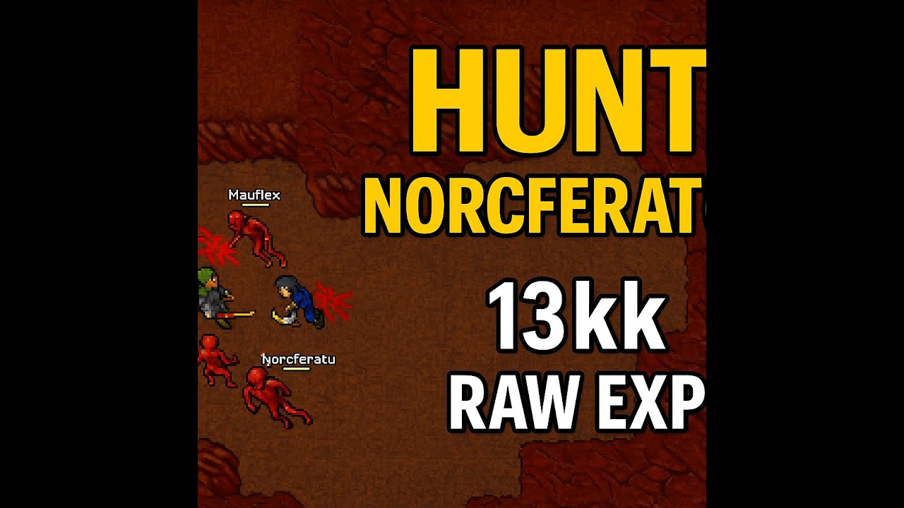 TIBIA Norcferatu East x3 (RP,ED,MS) 13kk raw /  3.5kk profit - NO AUDIO -