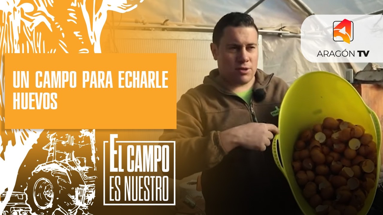 Un campo para echarle huevos