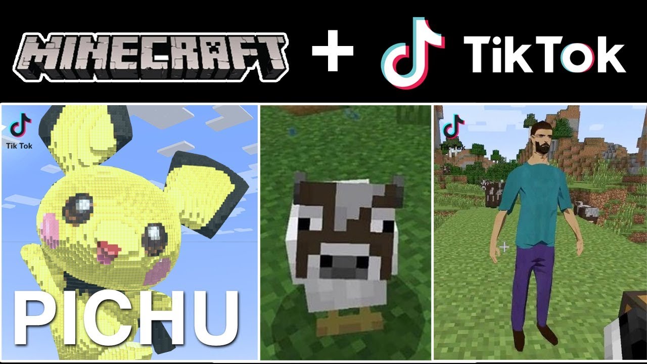The Coolest & Craziest Tik Tok Minecraft Videos Compilation! (Part 8)