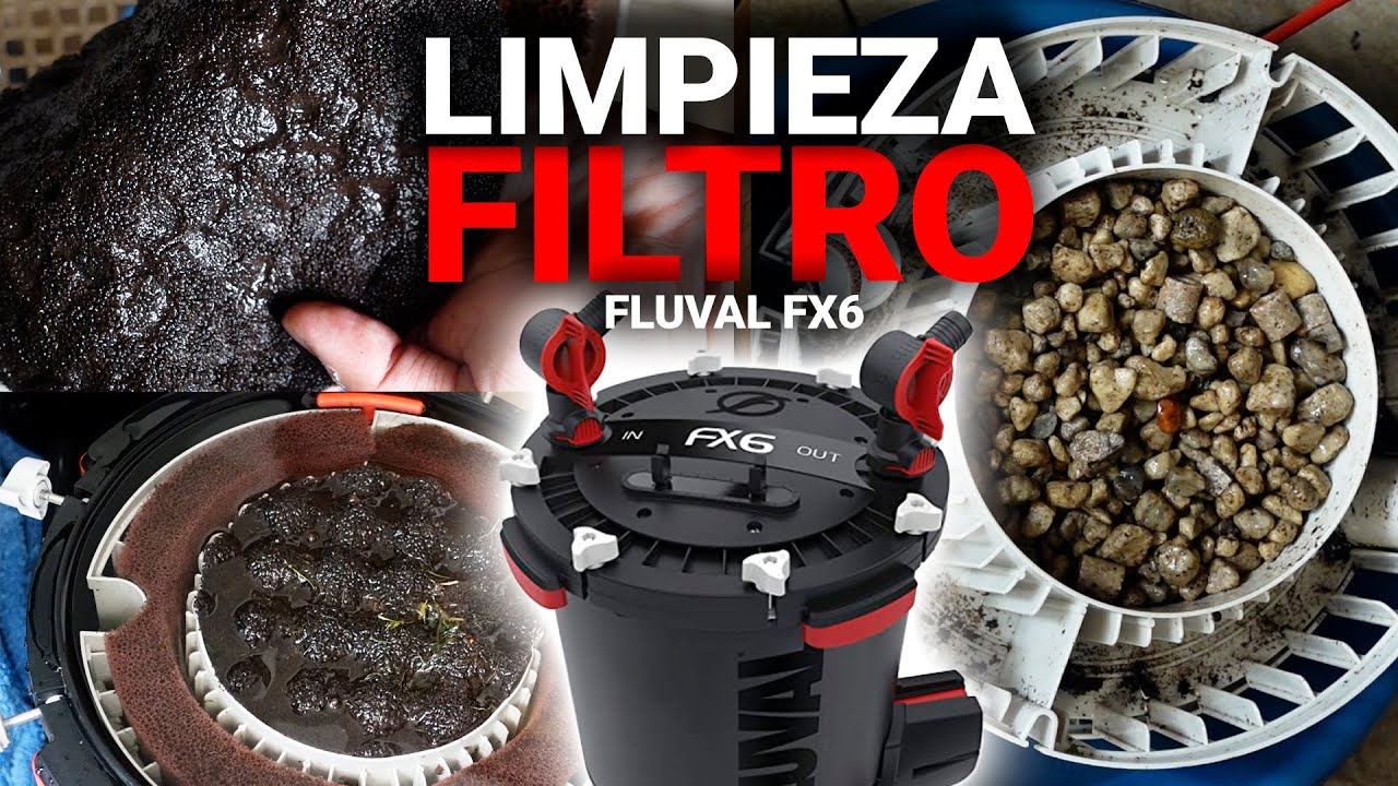 Paso a paso: Cómo limpiar de manera efectiva un filtro Canister Fluval FX6