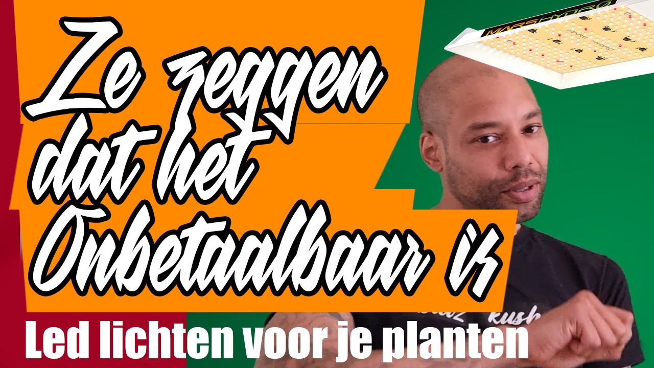 Led Lampen voor je indoor planten | Betaalbaar of niet?