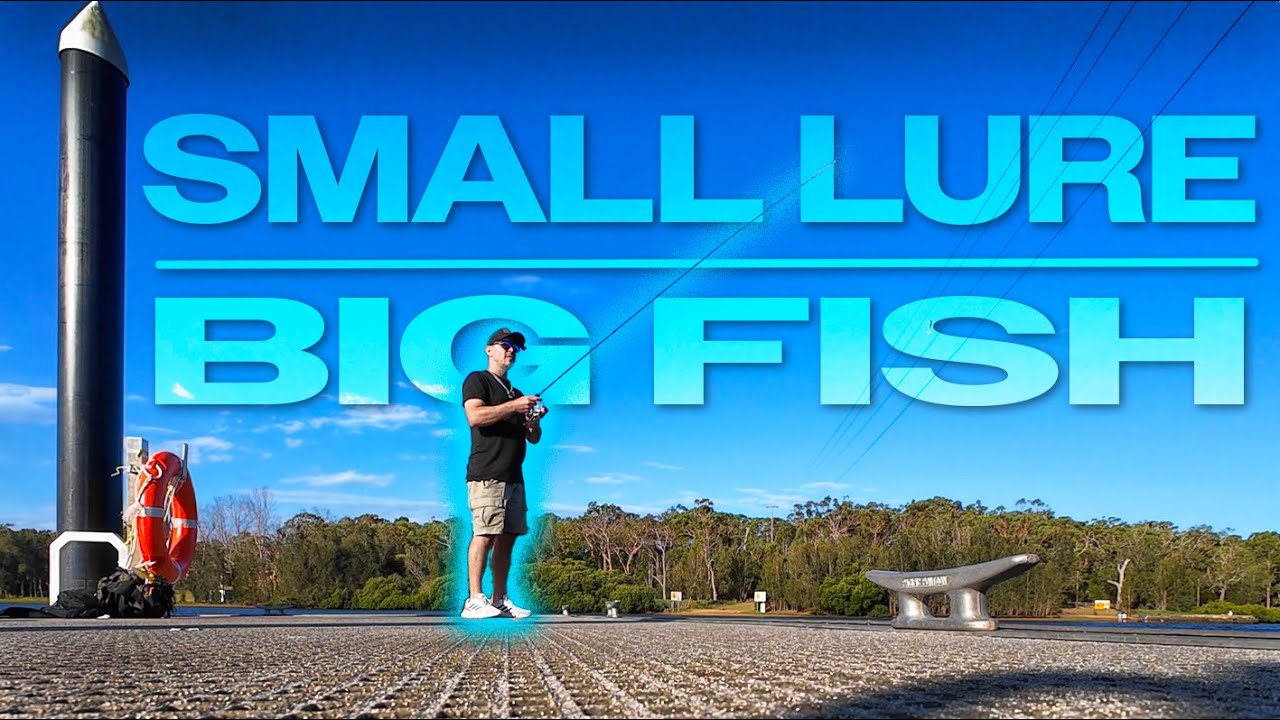 Рыбалка на приманку на реке Джорджес | Не ожидал такого!