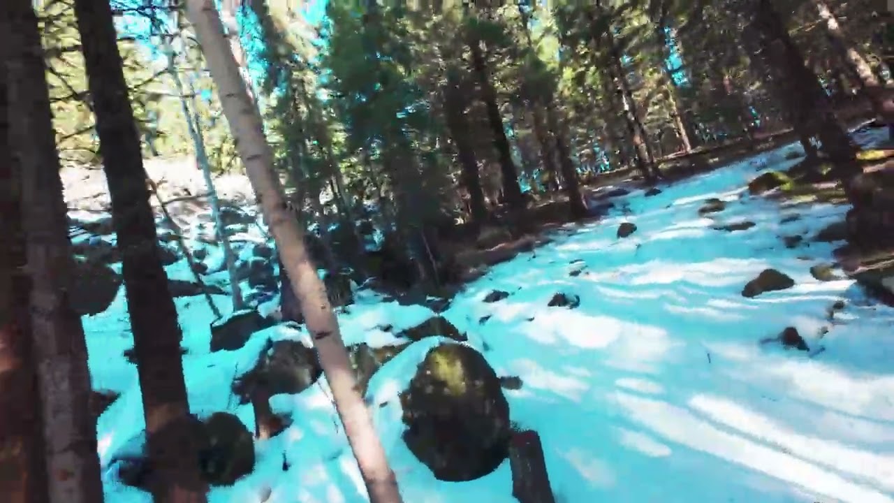 Flight Vlog #41 - A morning cruise through the forest (@ the cabin) - DJI AVATA2
