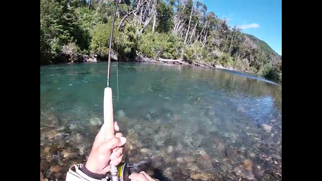 Diciembre 2025, pescando con una Copper John lastrada, con indicador de pique, fly fishing reports. 