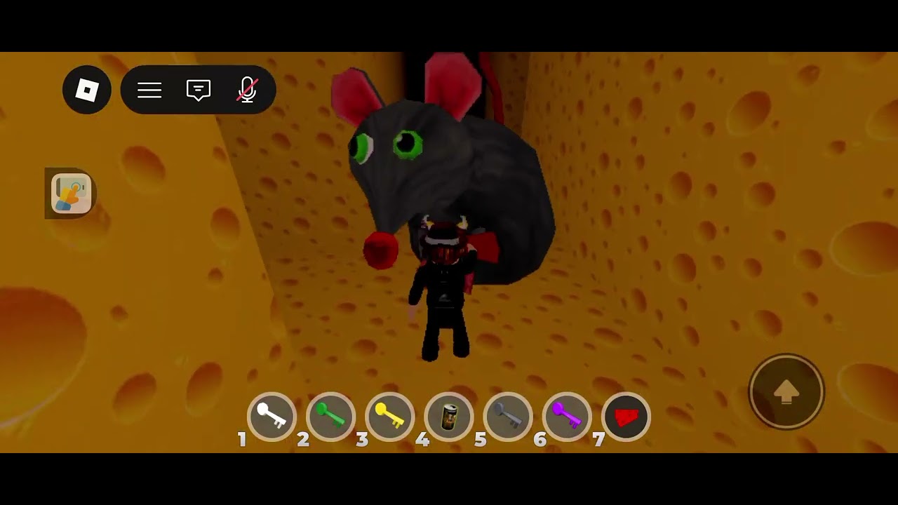 Key ( ⚪🟡🩶🟣) Cheese Escape 🟥 l win 