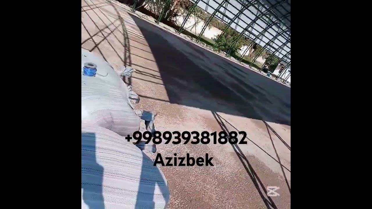 15 февраля 2025 г.