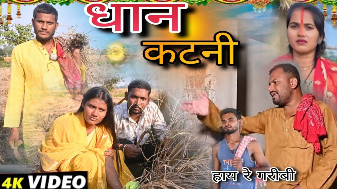 धान कटनी//dhan katani (धान काटने में हुआ लड़ाई) @UdaydoctorBodhgaya #magahiya #dhan 