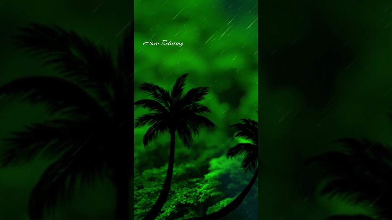 Soft Rain Sound and Piano Music 