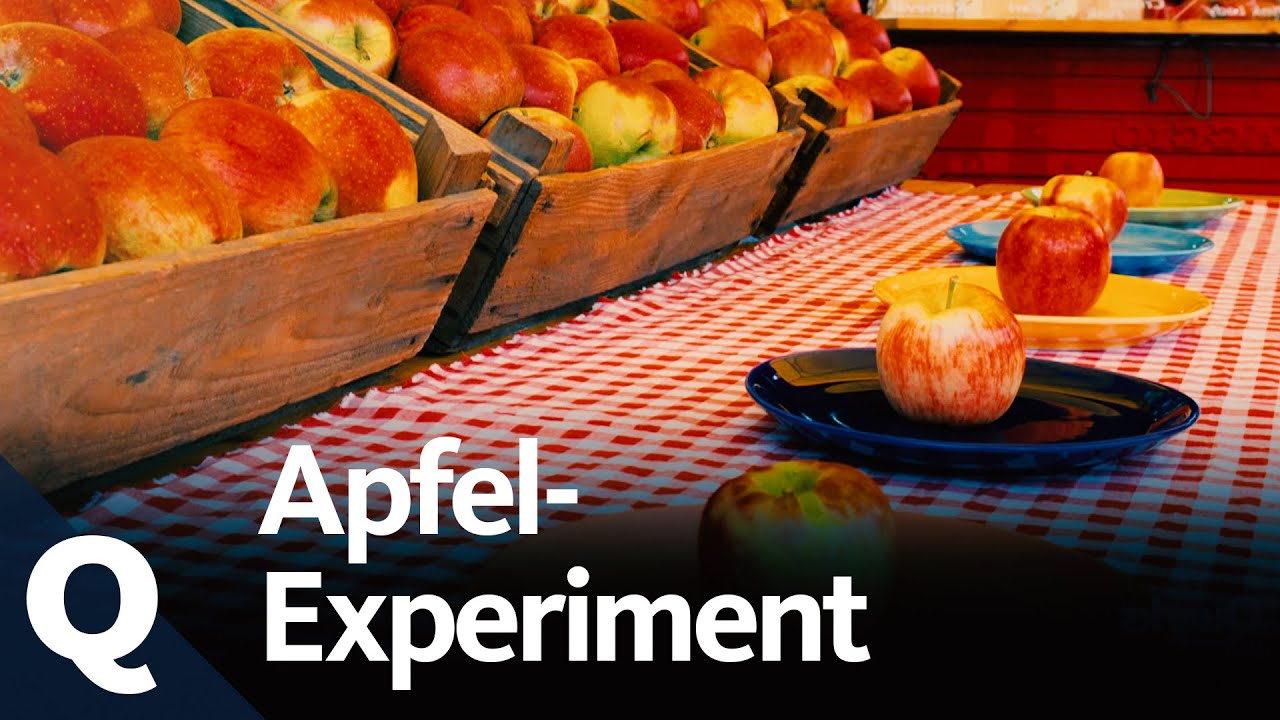 Das Experiment: Welche Apfelsorte wird am meisten gekauft? | Quarks