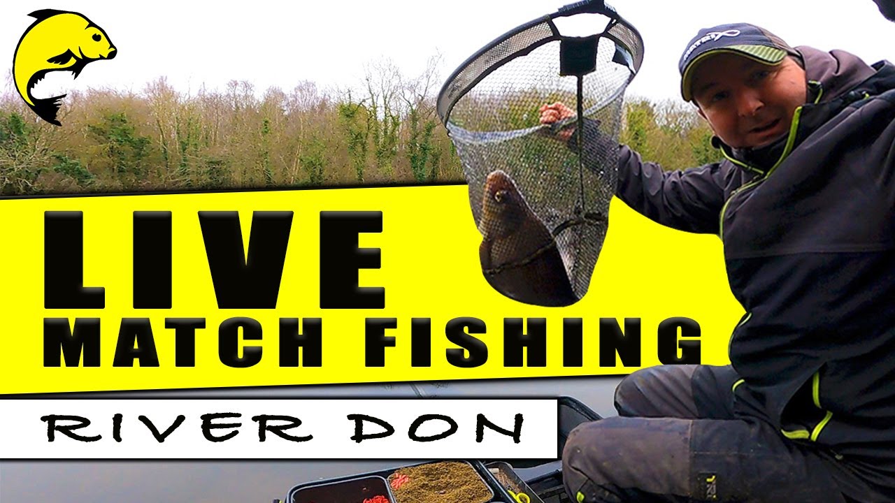 RIVER DON Open Match - LIVE MATCH FISHING 23rd January 2022