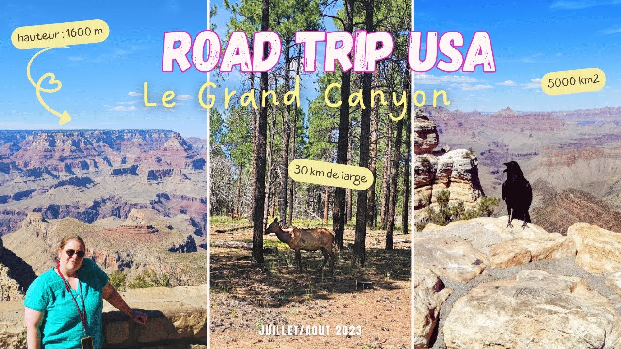 #14. On aborde le 🔸Grand Canyon!🔸