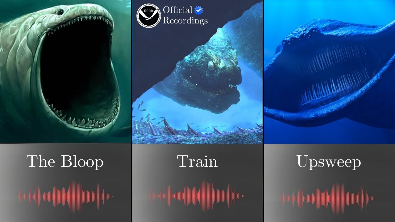 Звуки морского монстра: Bloop vs Train vs Upsweep &mdash; какой монстр реален?