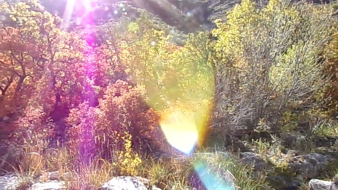 Guadalupe Mountains National Park (2) - November 14, 2024