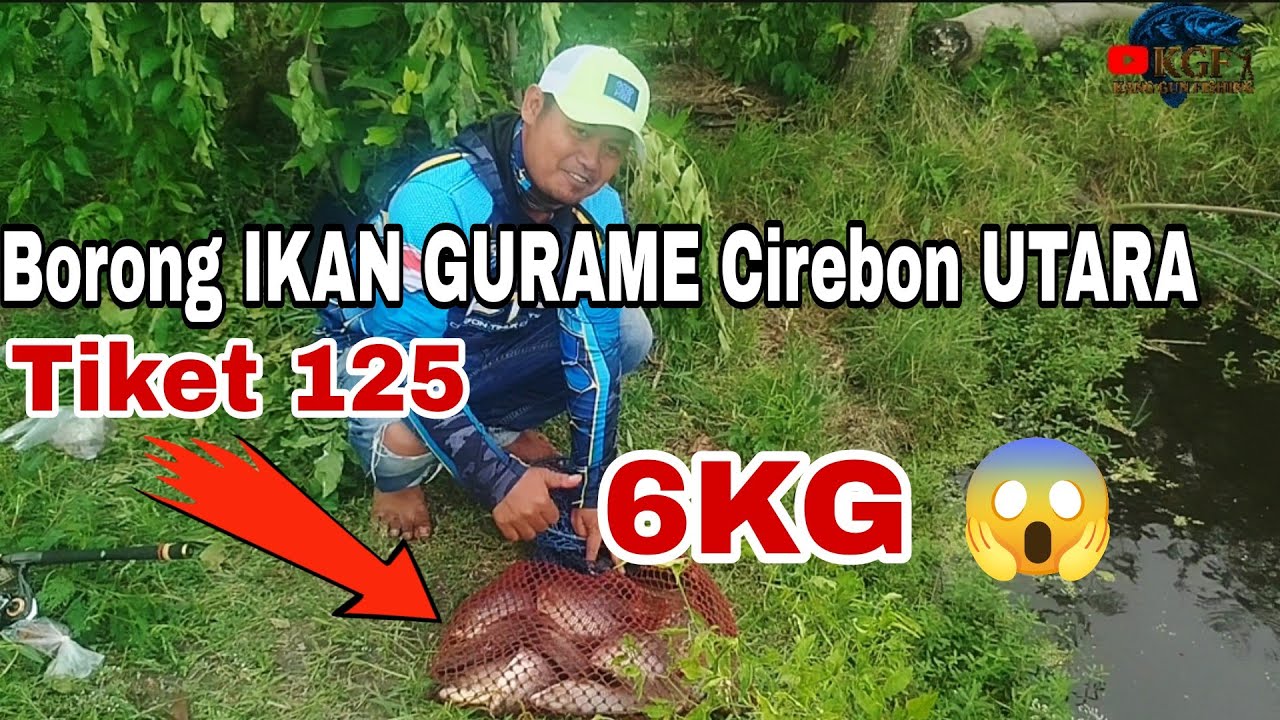 UPAN JANGKRIK + DAUN PANDAN GACOR! Borongan Gurame Kepetakan Cirebon Utara Dapat 6KG 😱🔥