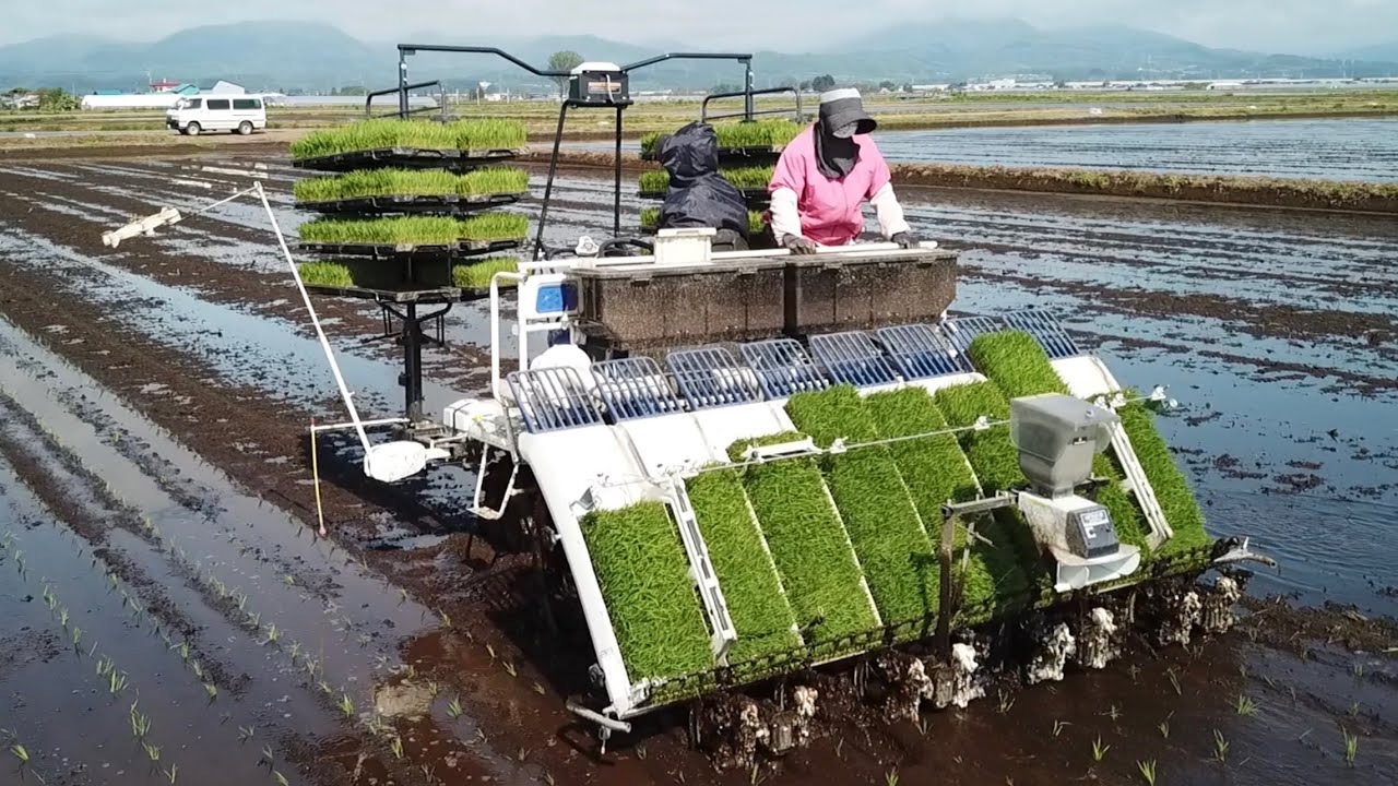 無代かき田植え始めます❗️