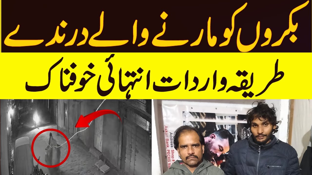 Murda Janwaron Ka Gosht Bachnay Wala Gang | Giraftari Kaise Hui@XReporter