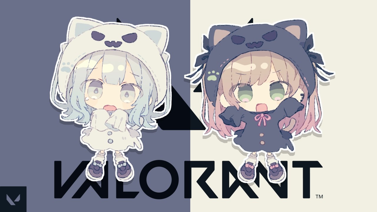 【valorant】ブロンズからの脱出【ろこかど】