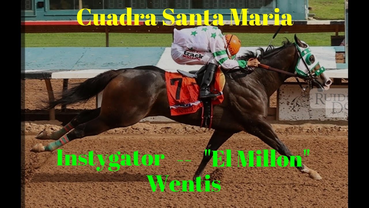 EL MILLON - INSTYGATOR