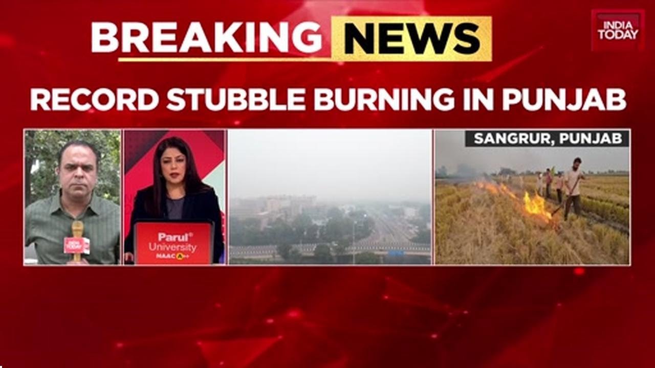 Delhi Chokes, Politics Smokes: Punjab Farm Fires Rage, Mann Blames Centre & BJP | India Today News