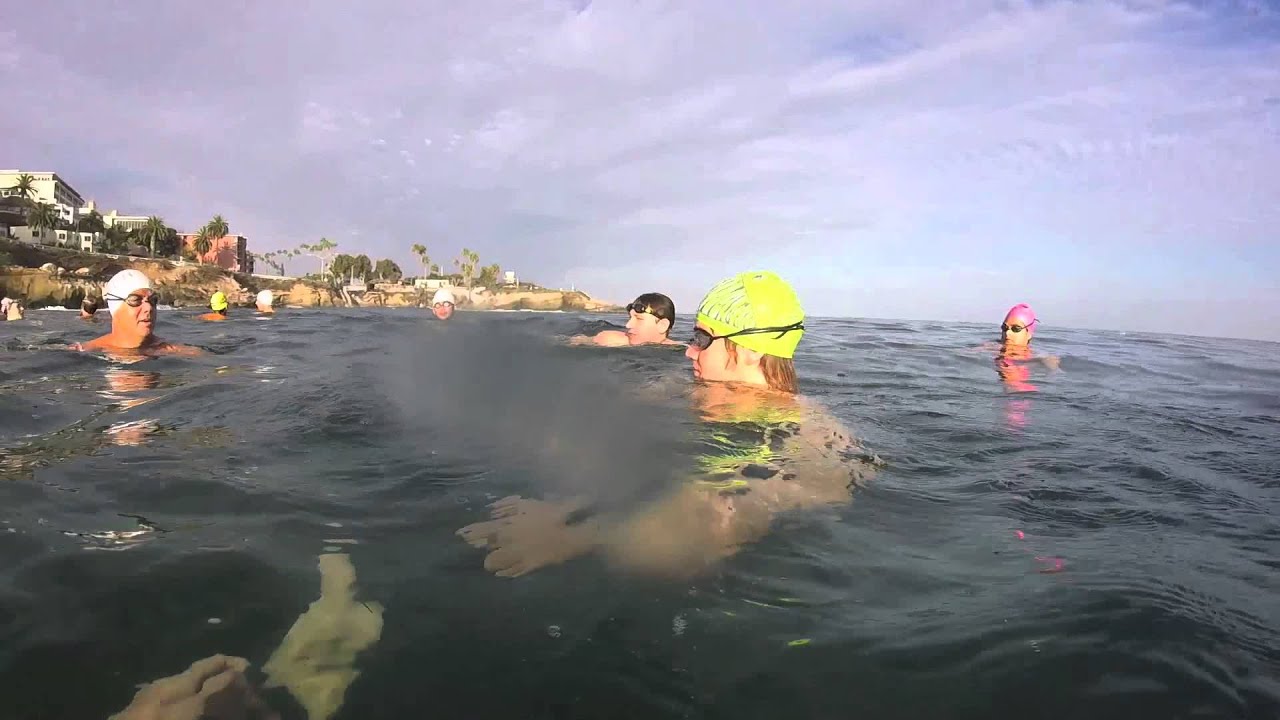 The Zombie Patrol and Otto go out swimming as a TEAM! 09/10/15