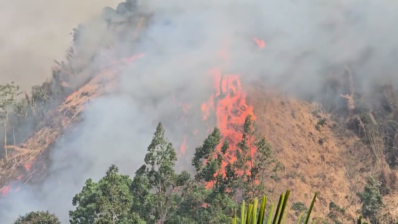 Lo hal lai/thlir tur titam ah