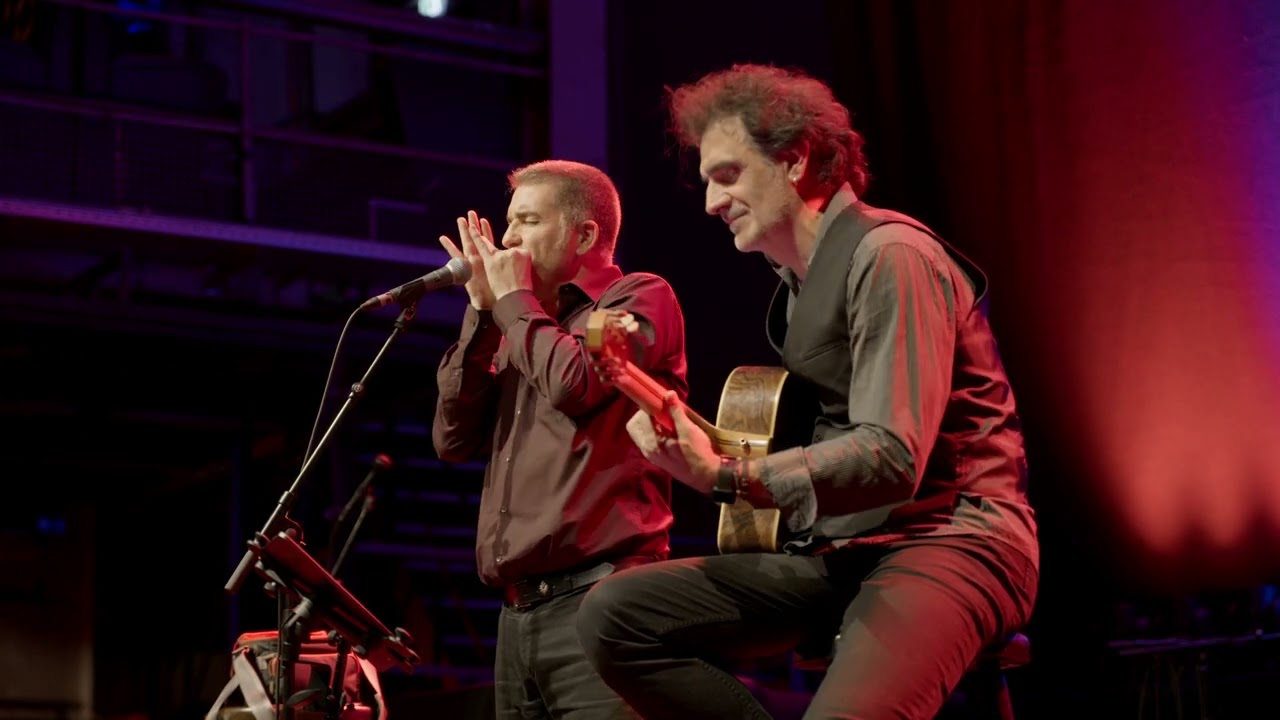 Bossa dorado, HARMONICA FEN FESTIVAL 2024 Joan Pau Cumellas & José Luis Arrazola