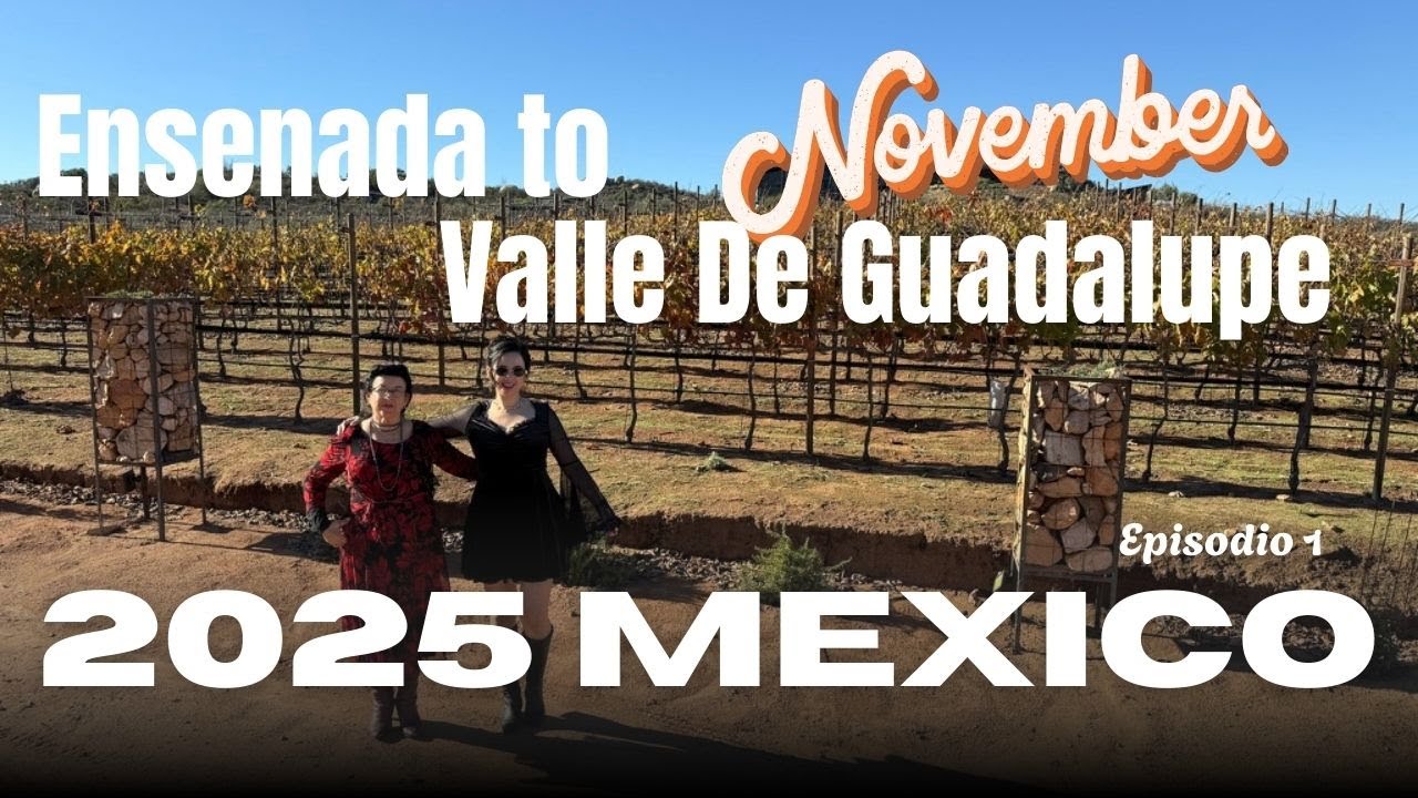We Drove 25 Minutes from Ensenada 🍷 | Valle de Guadalupe 🇲🇽  #viajeporcarretera  #mexicotravel