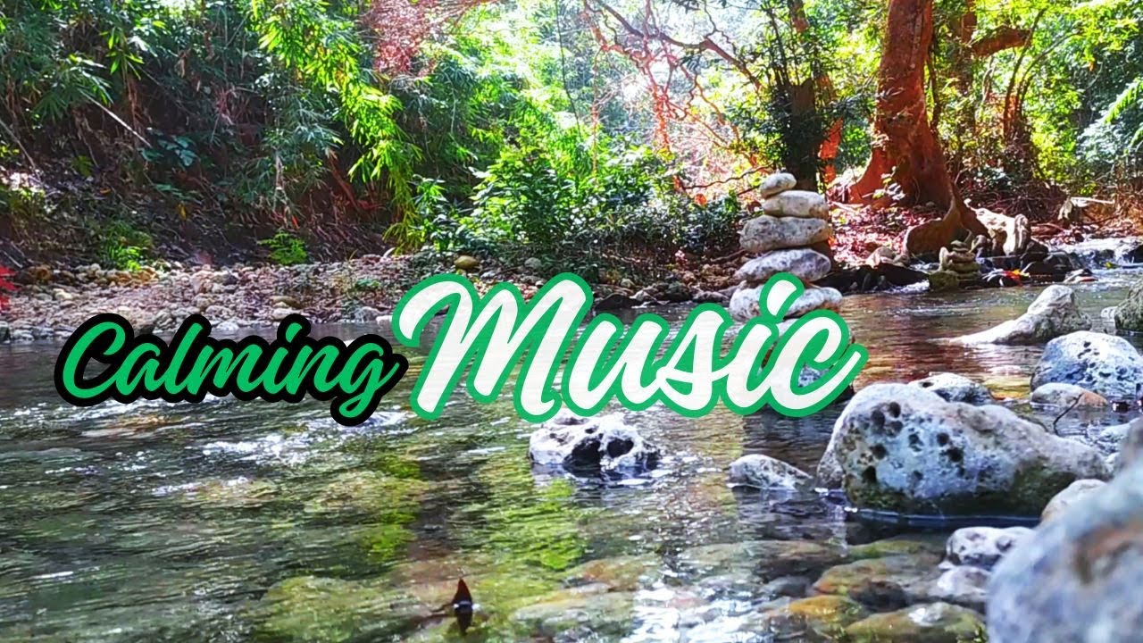 Water Flowing in a Mountain Forest 24/7. Water Music, Flowing Water. White Noise for Sleep. 11