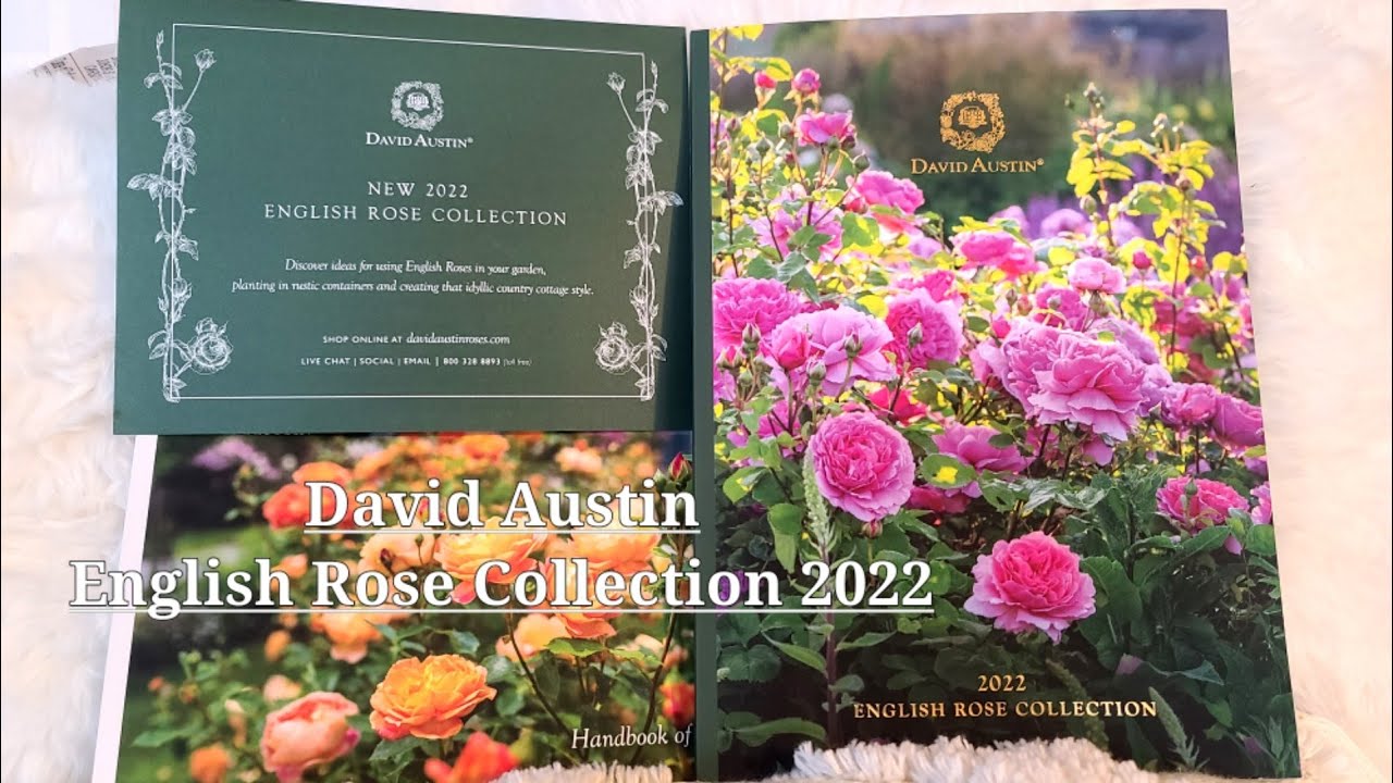 David Austin English Rose Collection 2022 / New catalog of David Austin