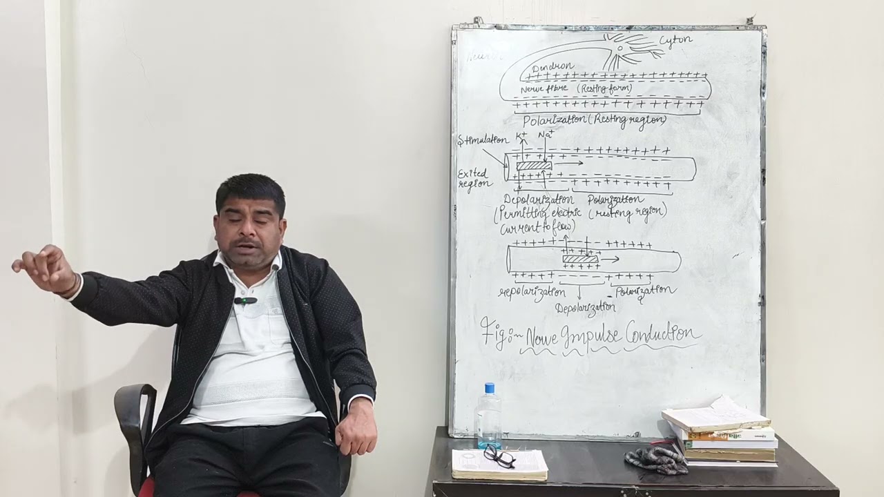 Neural control and coordination (lecture) #biology #class11th 
