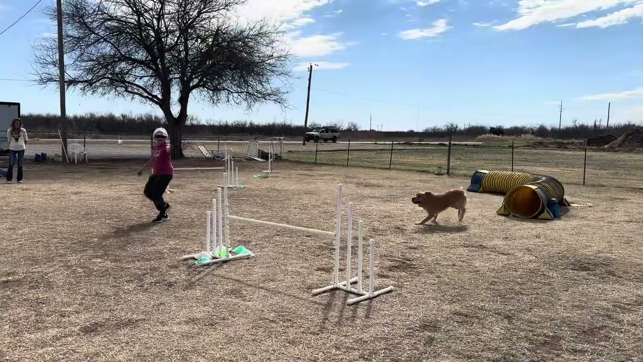 Chase’N-LMW2604(27) 0:32.94s 0 fault