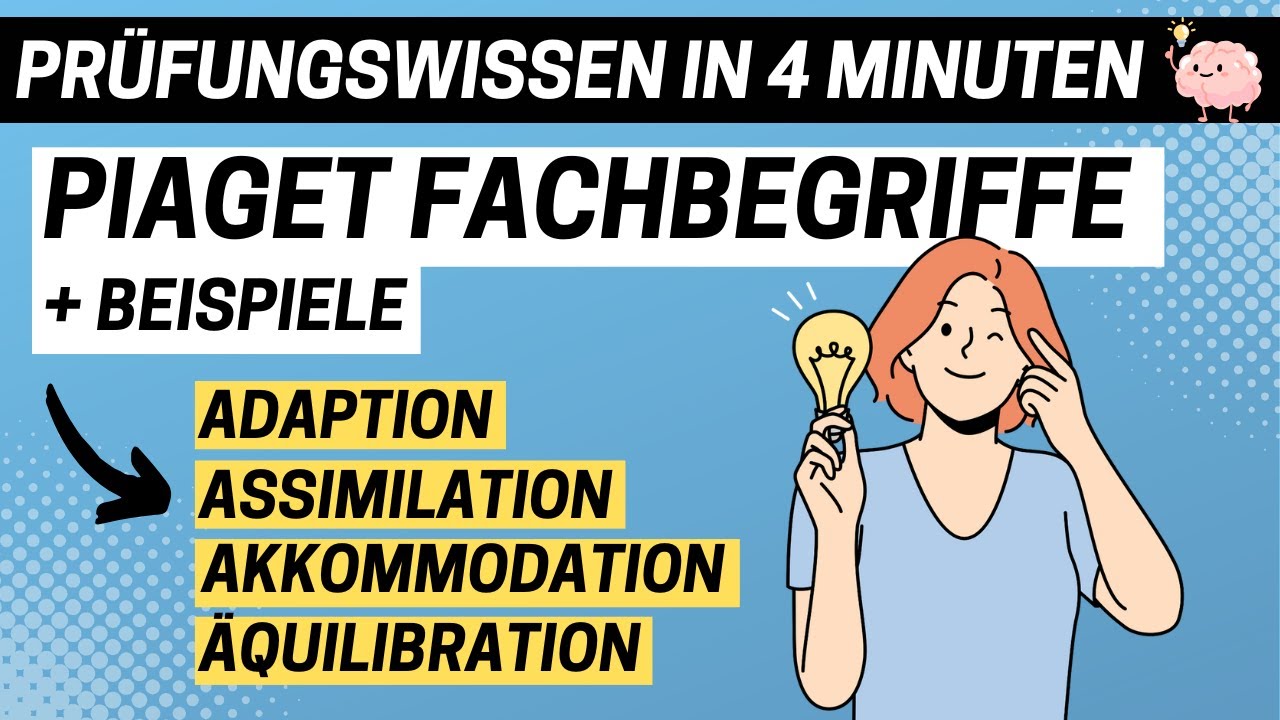 ASSIMILATION, ÄQUILIBRATION... - Begriffe der kognitiven Entwicklung + Beispiel | ERZIEHERKANAL