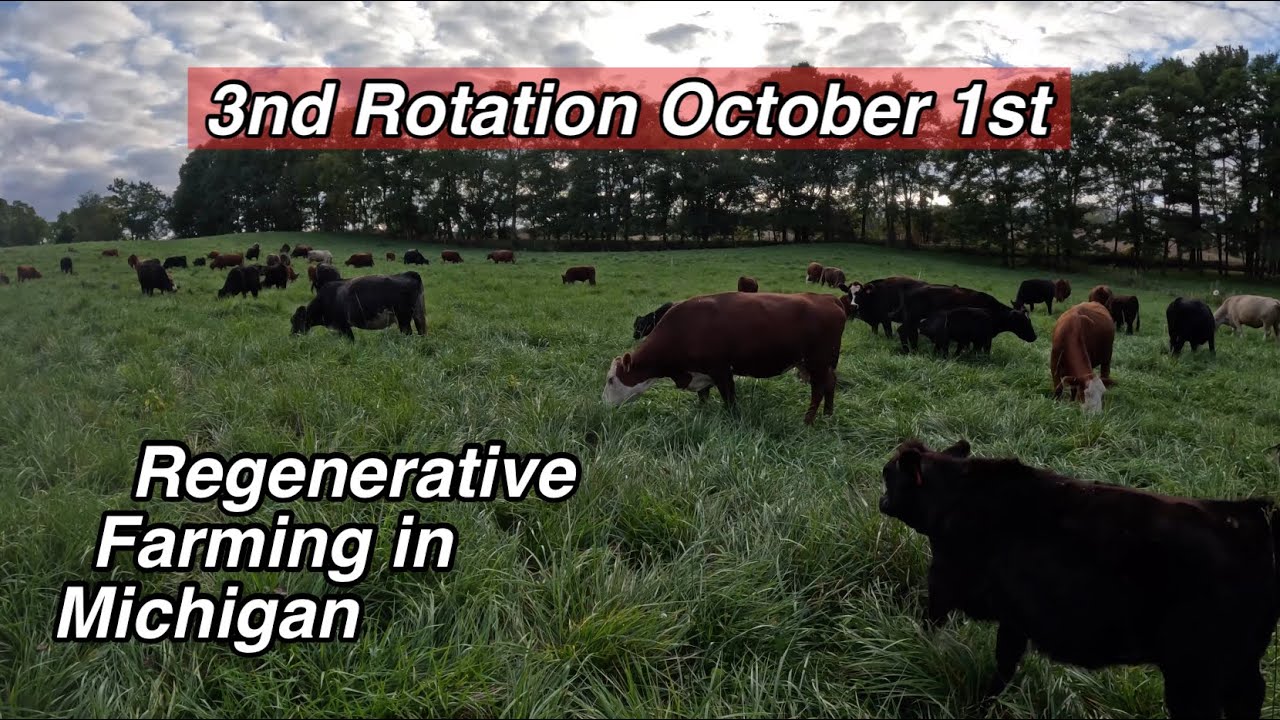 Waist High Grass in October | The 3rd Trip Around The Farms