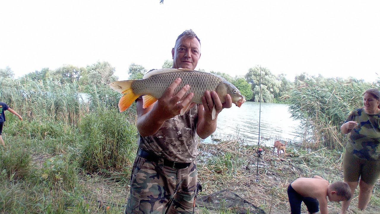 Pescuit la Dunare.Au tras Crapii sa rupa lansetele