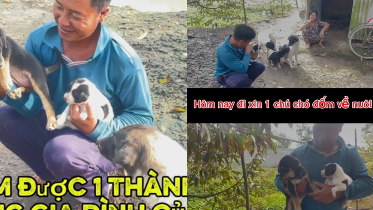 Đầu năm khai trương đi hái hạnh làm vườn thôi cả nhà ơi