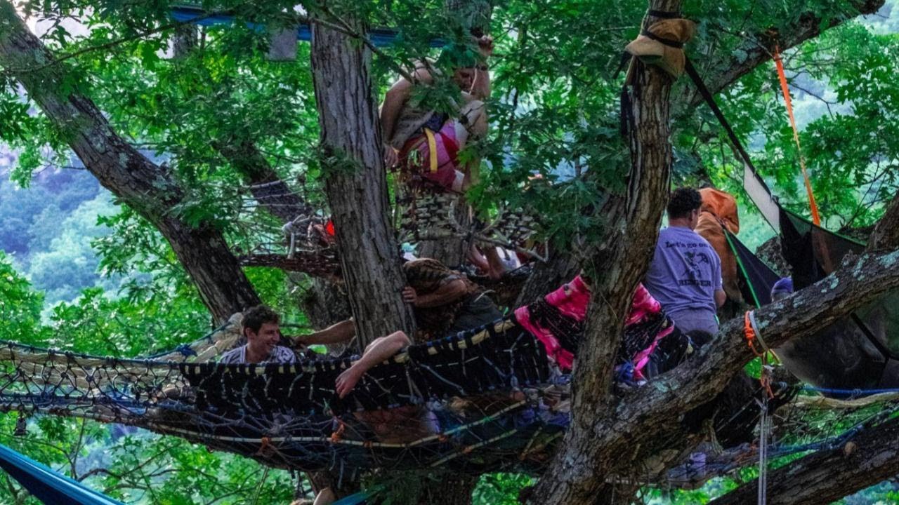 Moonshine tree net tour (part 2); over 40 miles of rope in one HUGE tree... ultimate climbers' fort!