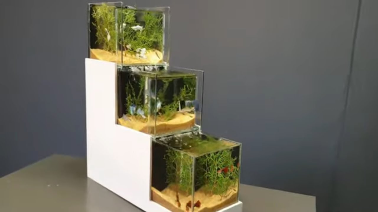 MINI DESKTOP AQUARIUM - Интересный водопадный аквариум