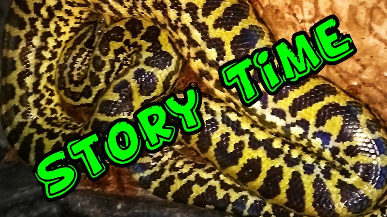 МОЙ САМЫЙ СИЛЬНЫЙ УКУС ЗМЕИ (Время историй).