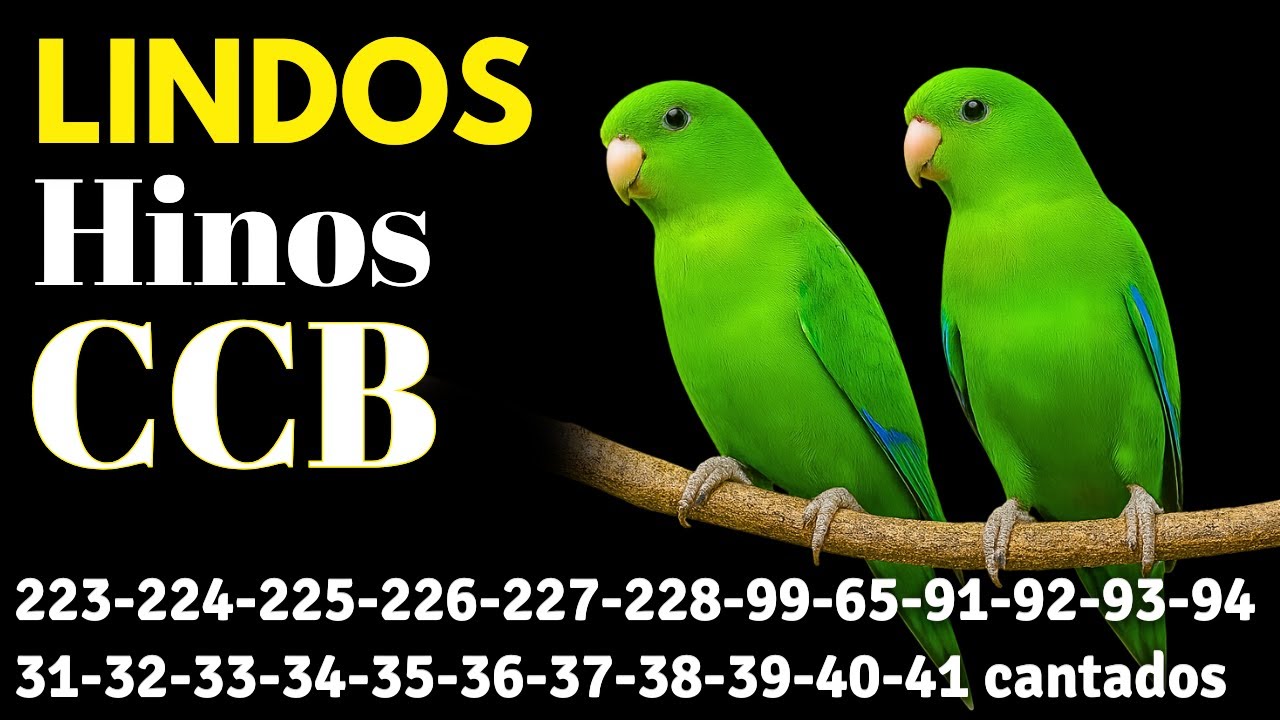 HINOS CCB 223-224-225-226-227-228-99-65-91-92-93-94-31-32-33-34-35-36-37-38-39-40-41-43-45 cantados