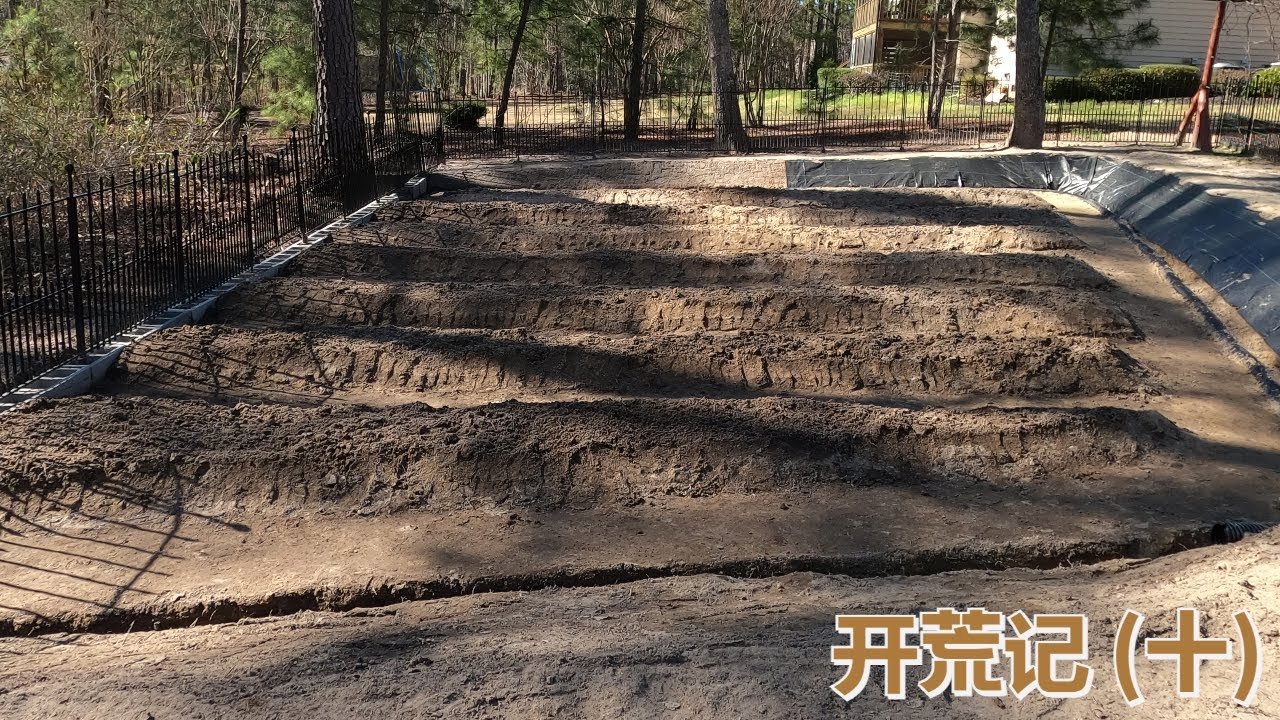 终于把排水沟和地陇好了。总共七陇地。Finally get the drainage and ridging done. In total, there are seven ridges.