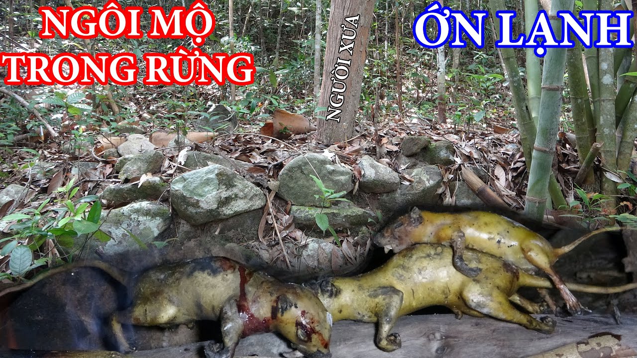 NGÔI MỘ THỜI CHIẾN TRANH TRONG RỪNG - MÙA MẬT ONG RỪNG 2024 | T21