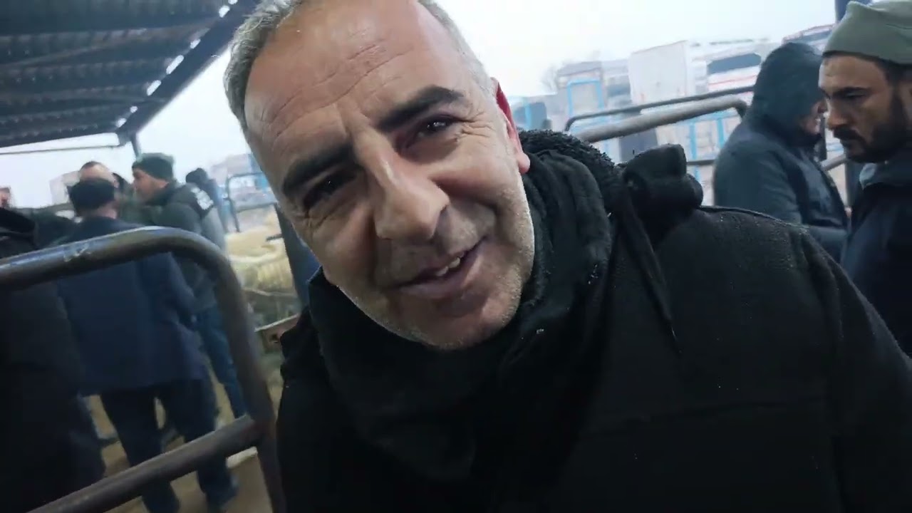 12 Şubat Perşembe Afyon Çayırbağ hayvan pazarı YouTube Kuzucu isa olarak takip Edip abone olabil