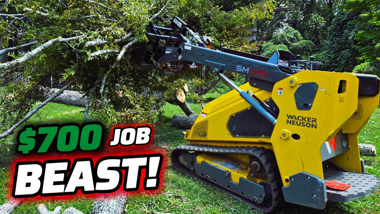 $125K Worth Of Equipment Doing A $700 Tree Removal Job!