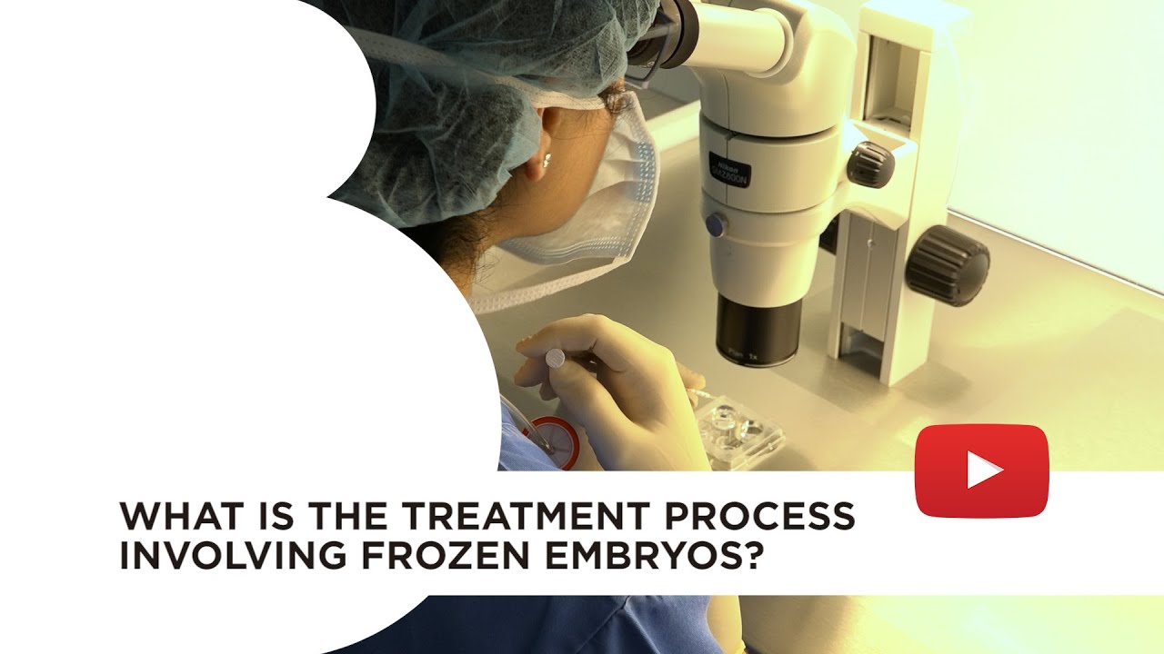 Embryo Vitrification: When and how?