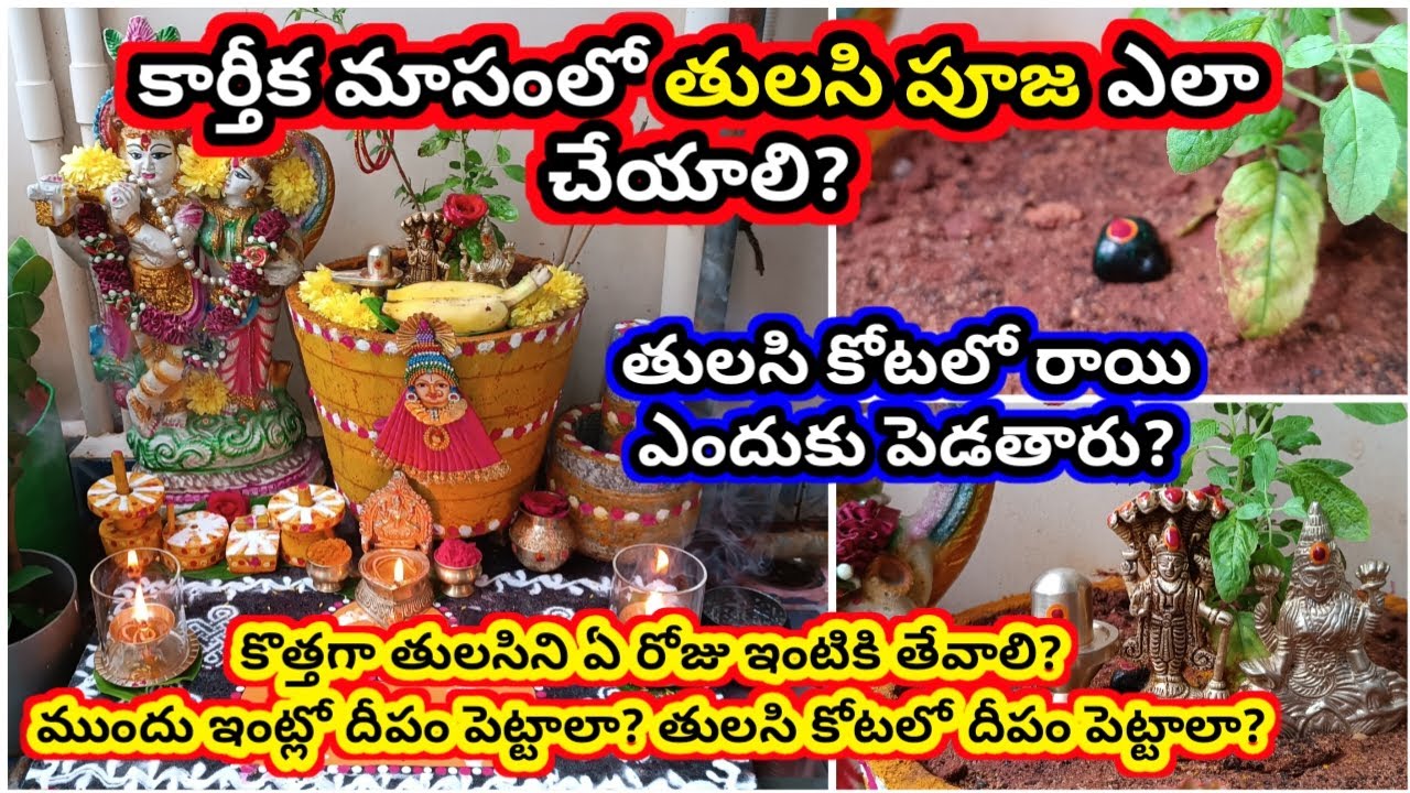 Karthika masam tulasi pooja 2025 | tulasi pooja ela cheyali | tulasi e roju natali | tulasipooja2025