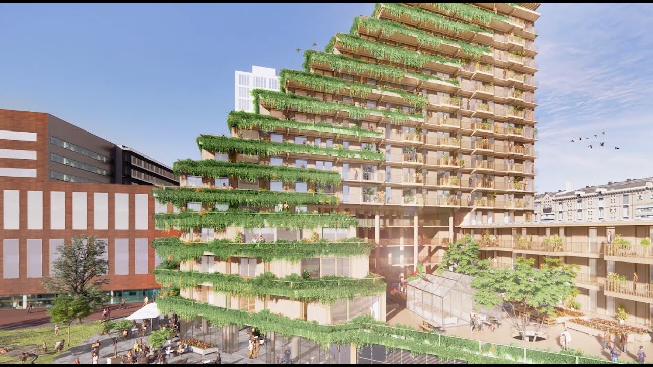 SAWA - First fully wooden building of Rotterdam - Full promo video