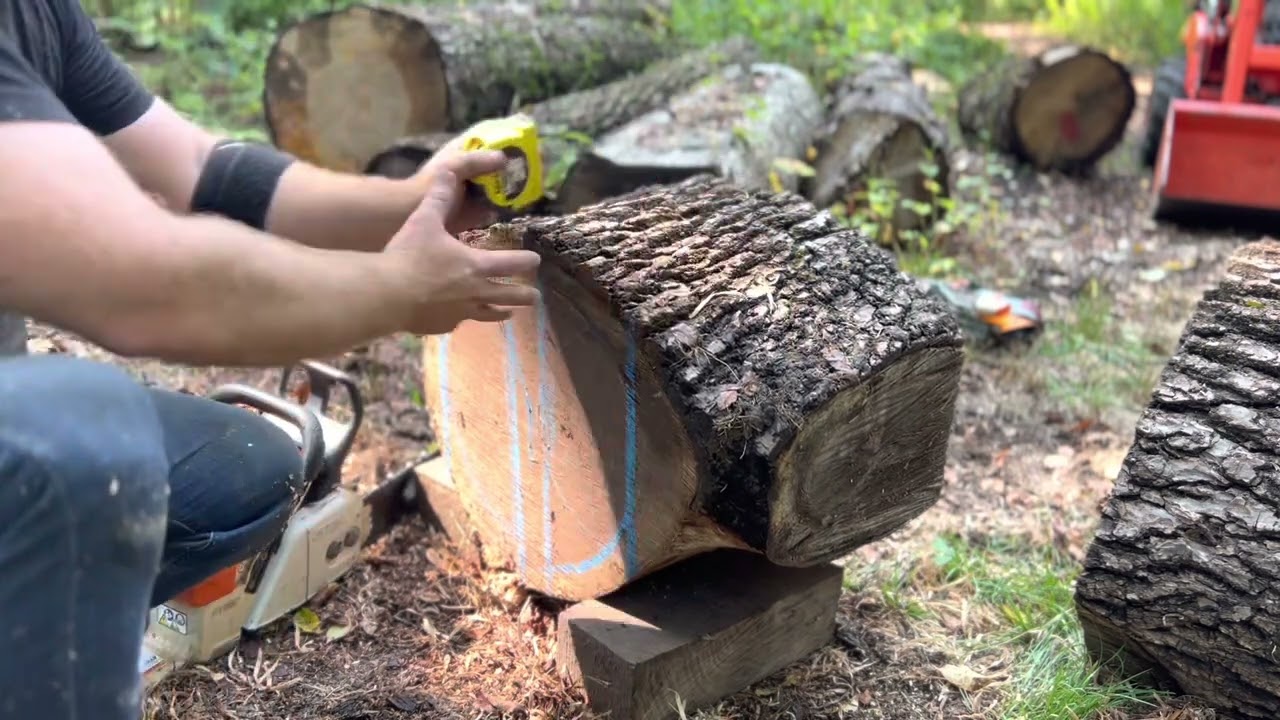 Processing bowl blanks with a chainsaw (how to)