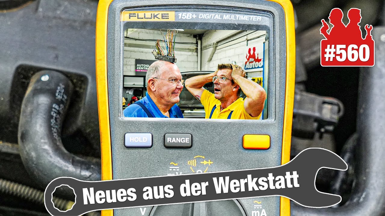 Das große OT-Geber-Rätsel! 🧐 Wasser im Fiesta-Kabelstrang | VW-Steuerkette: ALLE Ventile zerstört 😩