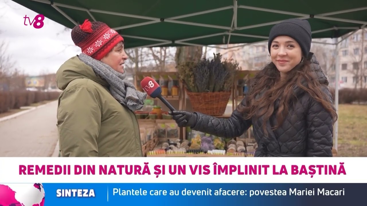 Plantele care au devenit afacere: povestea Mariei Macari