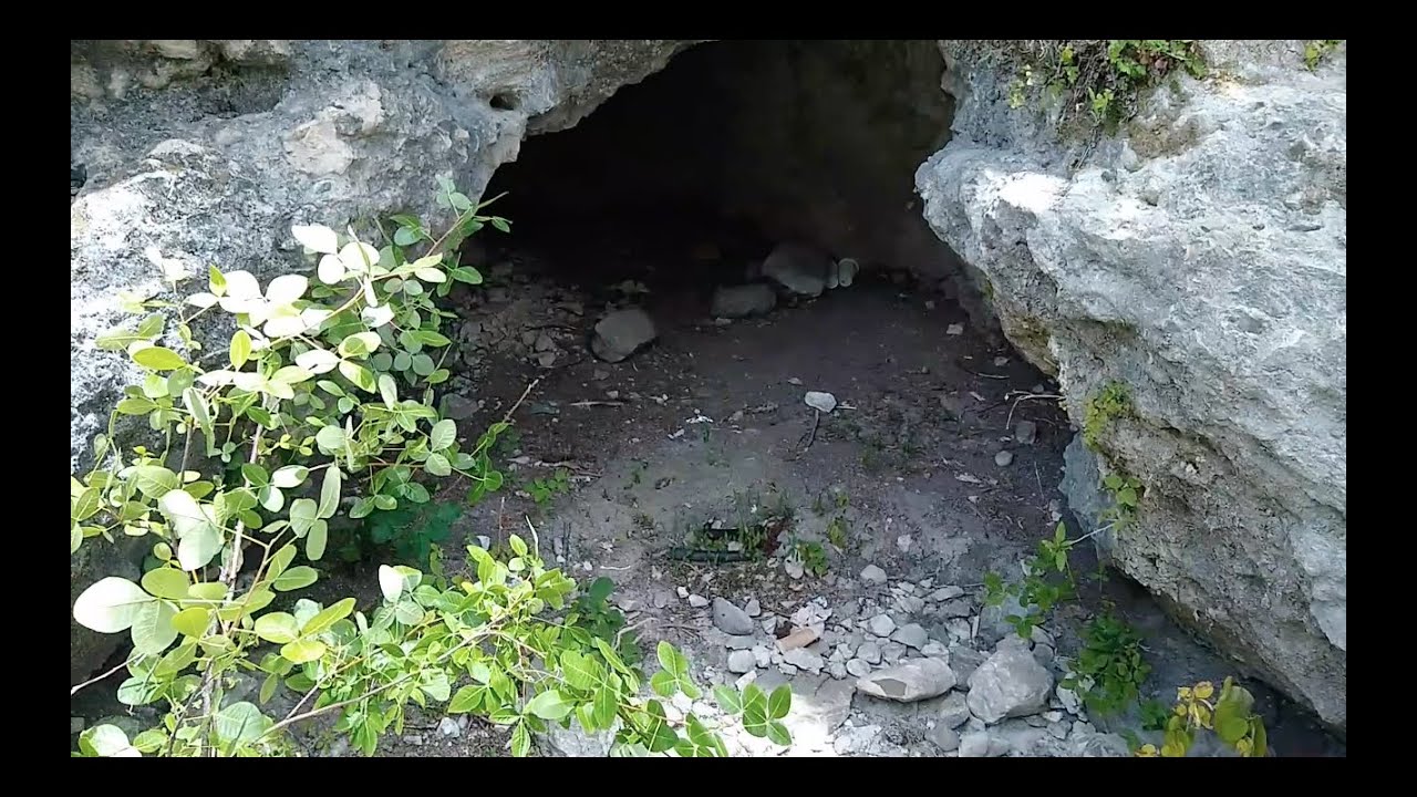 Buscando serpientes venenosas en un cerro